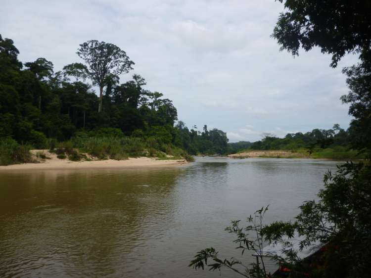 Rivière, Taman Negara, Malaisie