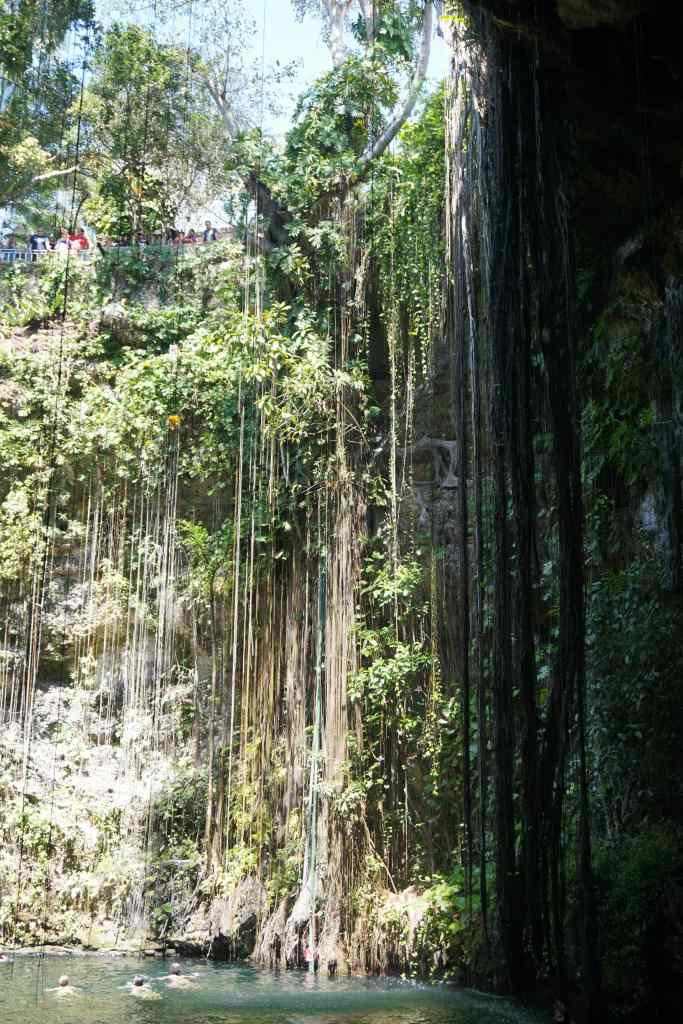 Végétation du Cenote Ik Kil, Mexique